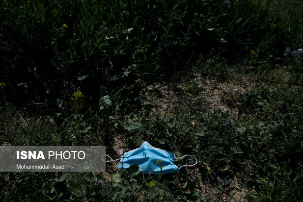 ماسک‌های رها شده در طبیعت