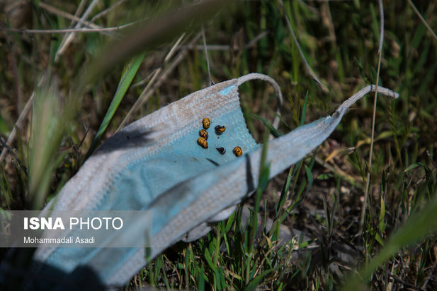 ماسک‌های رها شده در طبیعت