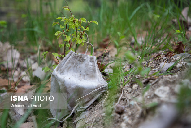 ماسک‌های رها شده در طبیعت