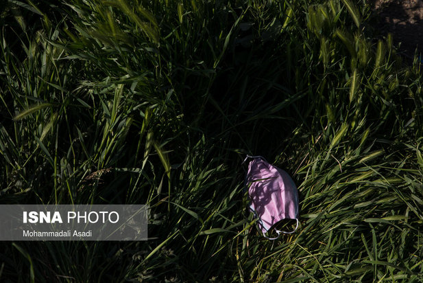 ماسک‌های رها شده در طبیعت