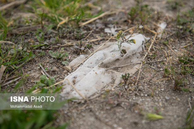 ماسک‌های رها شده در طبیعت