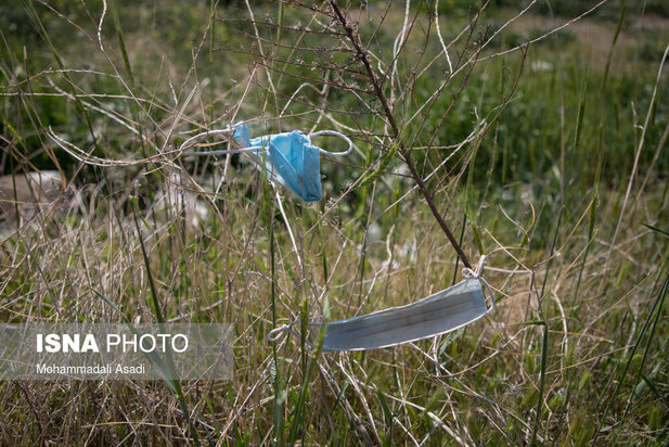 ماسک‌های رها شده در طبیعت