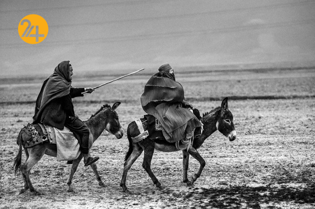 زندگی در جنگ