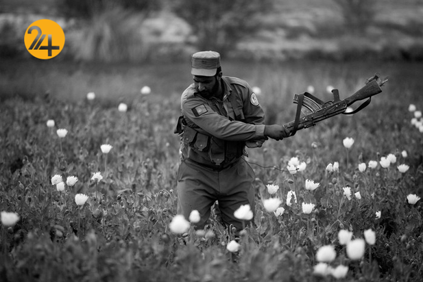 زندگی در جنگ