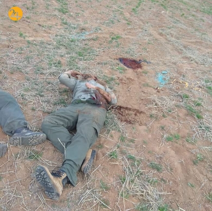 کشته شدن دو محیط بان در زنجان