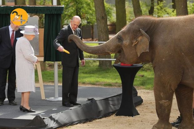 شاهزاده فیلیپ یک عمر به روایت تصویر