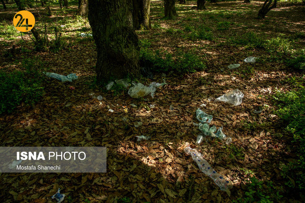 بجای مانده از روز طبیعت