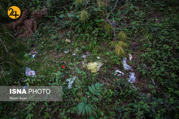 بجای مانده از روز طبیعت