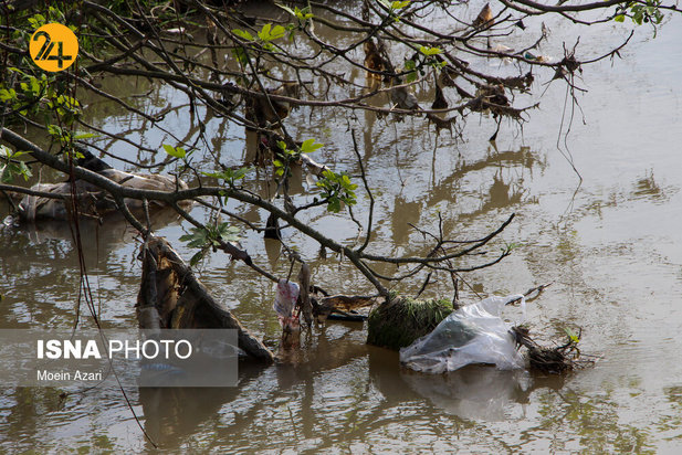 بجای مانده از روز طبیعت