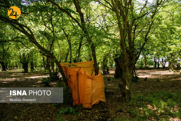 بجای مانده از روز طبیعت