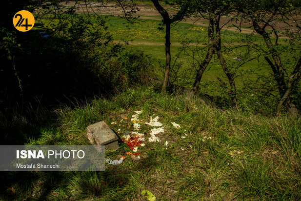 بجای مانده از روز طبیعت
