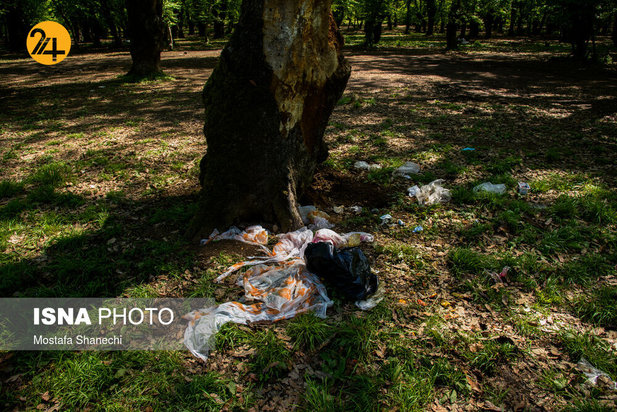 بجای مانده از روز طبیعت