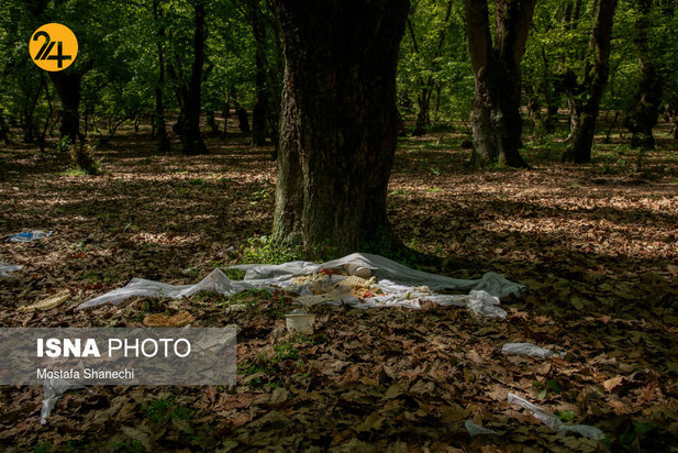 بجای مانده از روز طبیعت
