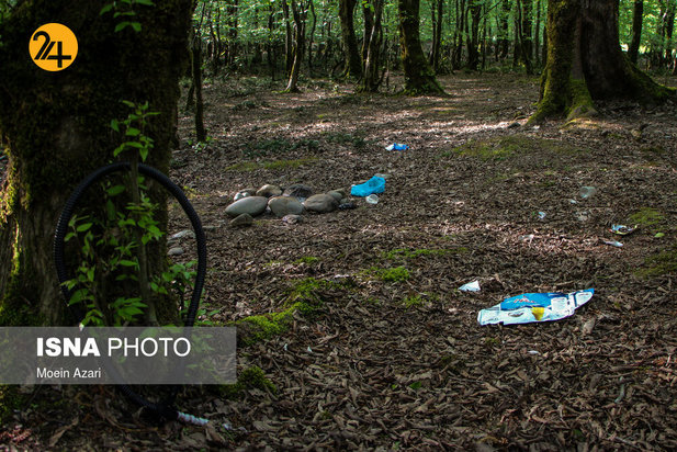 بجای مانده از روز طبیعت