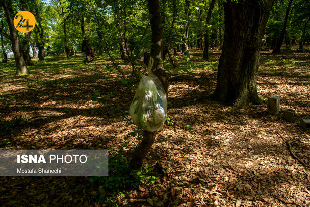 بجای مانده از روز طبیعت