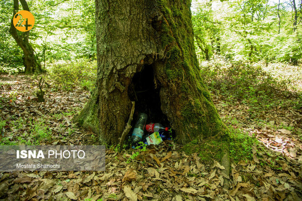 بجای مانده از روز طبیعت