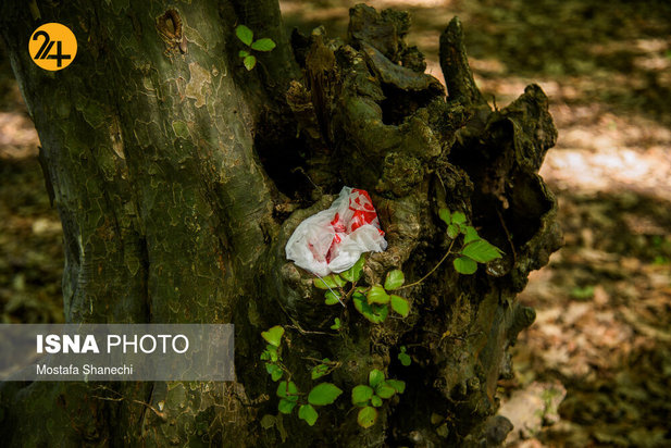 بجای مانده از روز طبیعت