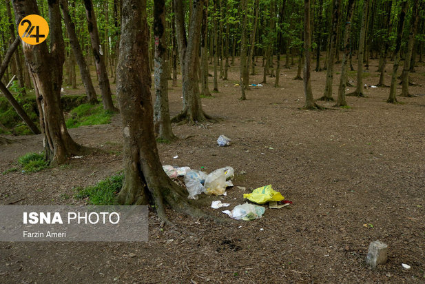 بجای مانده از روز طبیعت