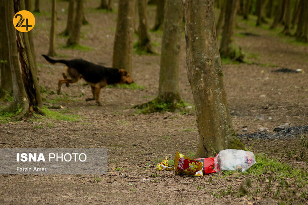 بجای مانده از روز طبیعت