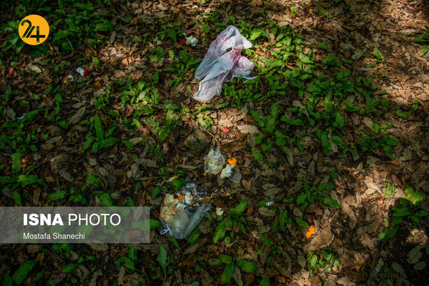 بجای مانده از روز طبیعت