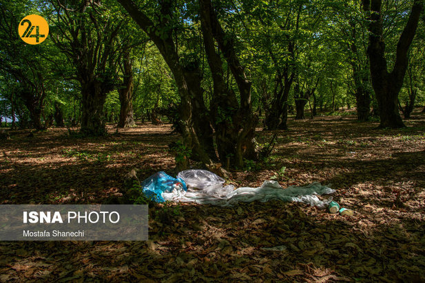 بجای مانده از روز طبیعت