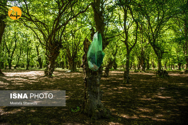 بجای مانده از روز طبیعت