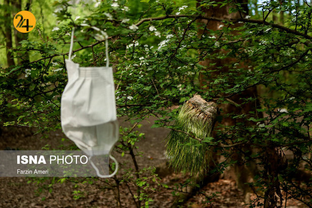 بجای مانده از روز طبیعت