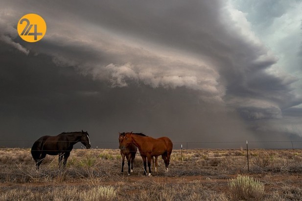 مسابقه عکاسی