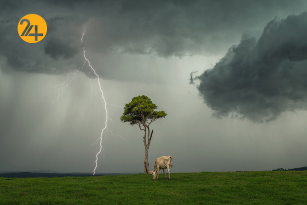 مسابقه عکاسی