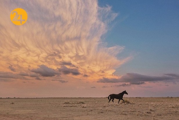 مسابقه عکاسی