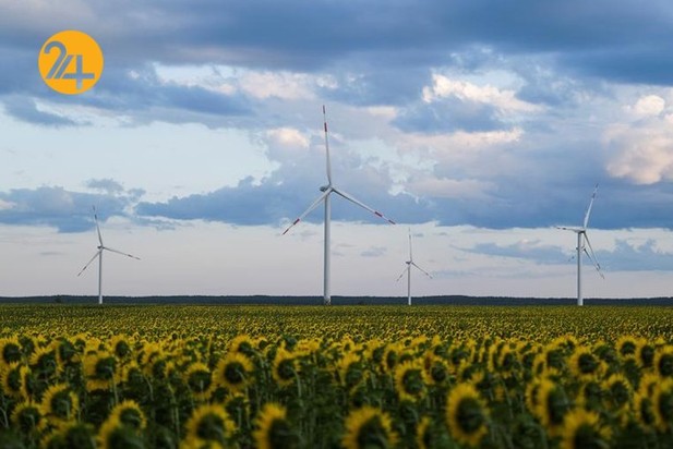 مزارع آفتابگردان در نقاط مختلف جهان