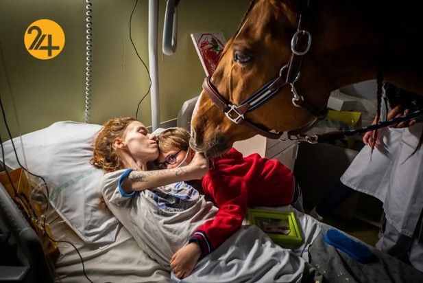 برندگان مسابقه عکاسی وورلدپرس