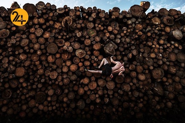 برندگان مسابقه عکاسی وورلدپرس