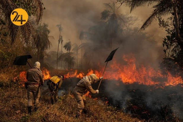 برندگان مسابقه عکاسی وورلدپرس