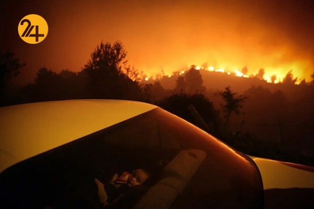 برندگان مسابقه عکاسی وورلدپرس