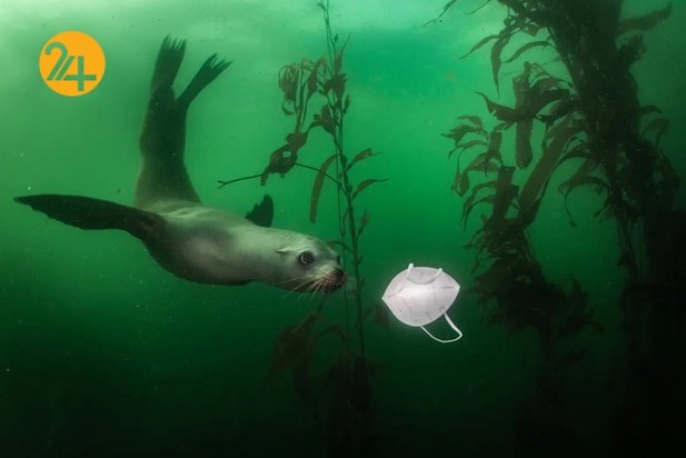 برندگان مسابقه عکاسی وورلدپرس