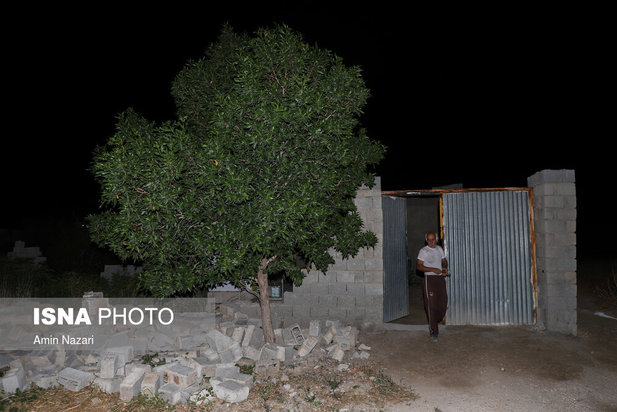 خسارات زلزله بندر گناوه