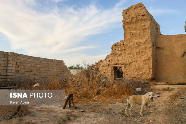 خسارات زلزله بندر گناوه