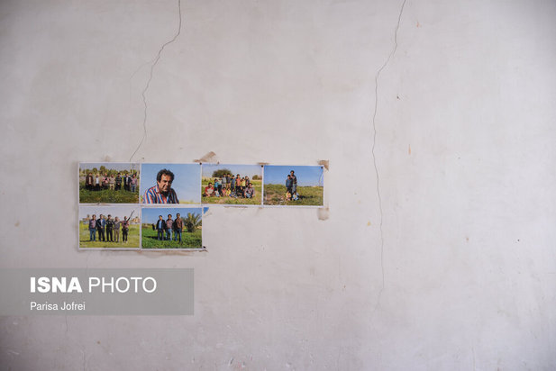 خسارات زلزله بندر گناوه