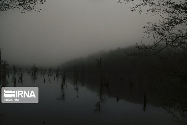 جنگل و دریاچه ارواح