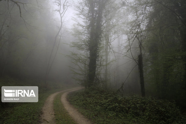 جنگل و دریاچه ارواح