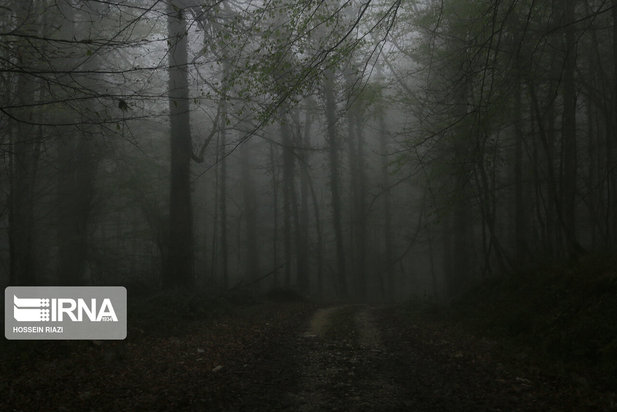 جنگل و دریاچه ارواح