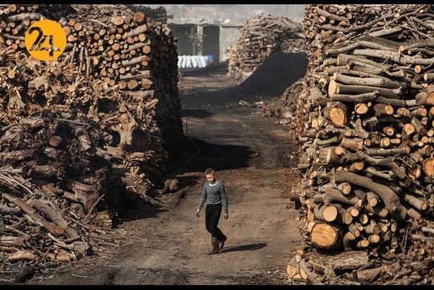 کارگران زغال سنگ