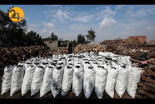 کارگران زغال سنگ