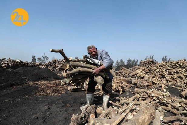 کارگران زغال سنگ