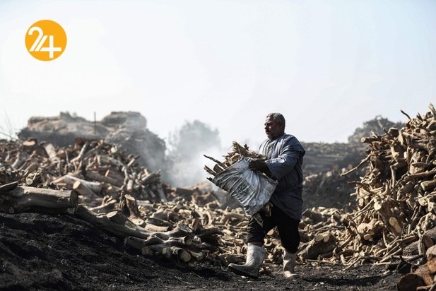 کارگران زغال سنگ