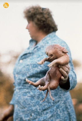 فاجعه چرنوبیل