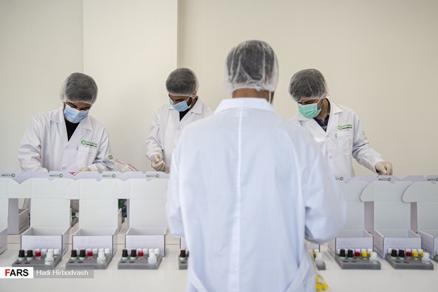 بازدید نمایندگان مجلس