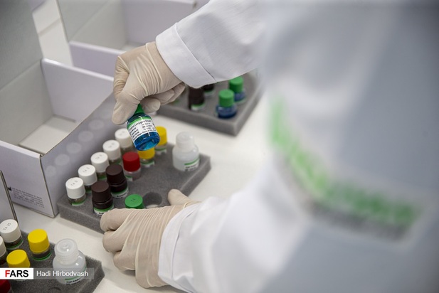 بازدید نمایندگان مجلس