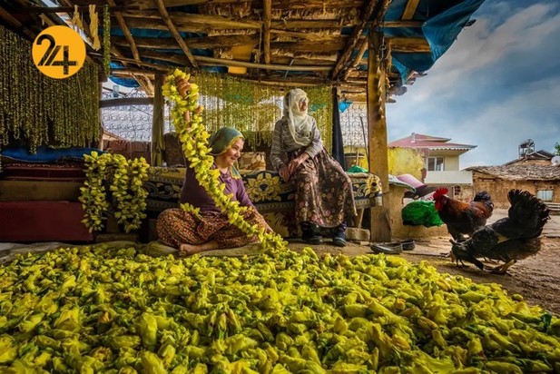 مسابقه عکاسی غذا ۲۰۲۱